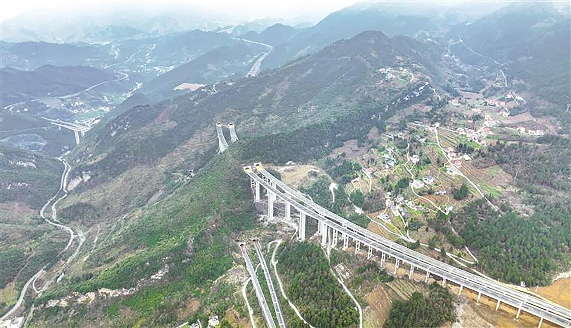 图片11.jpg